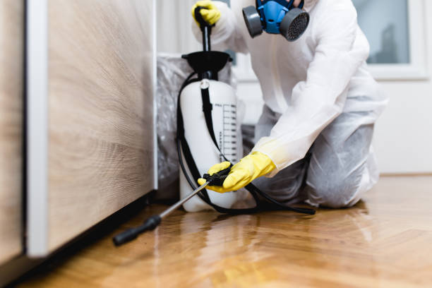 Reliable Camino, CA Pest Control Solutions