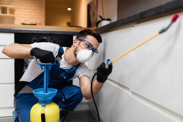 Best Affordable Pest Control Services  in Mino, CA
