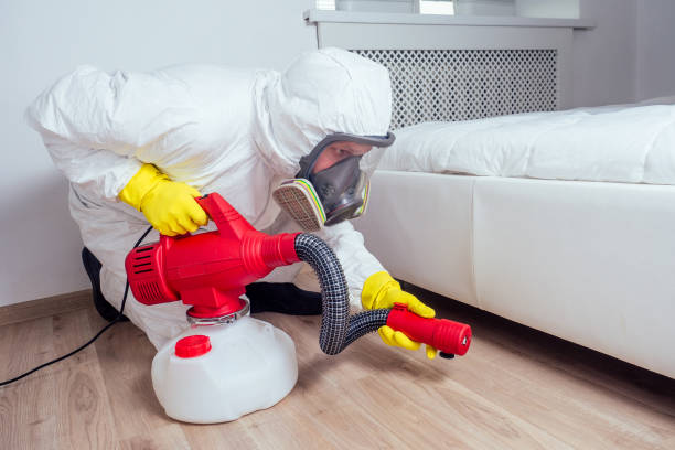 Best Best Pest Control Companies  in Mino, CA