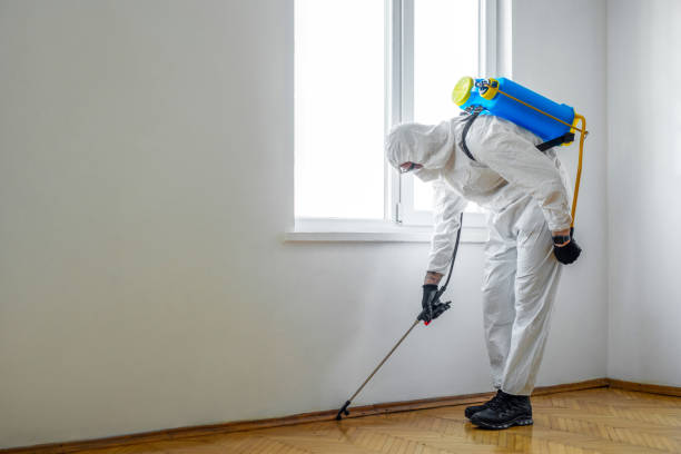 Best Pest Inspection Near Me  in Mino, CA