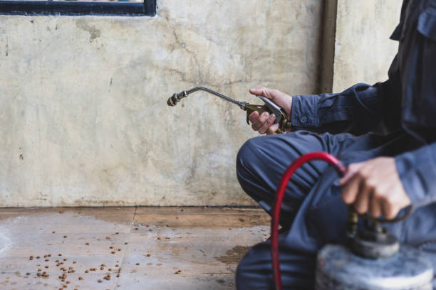Best Mosquito Control Services  in Mino, CA